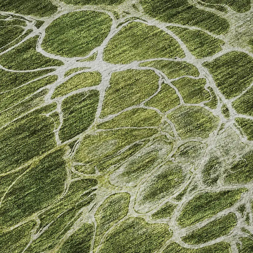 Olive Green And Ivory Abstract Washable Area Rug With UV Protection Photo 8