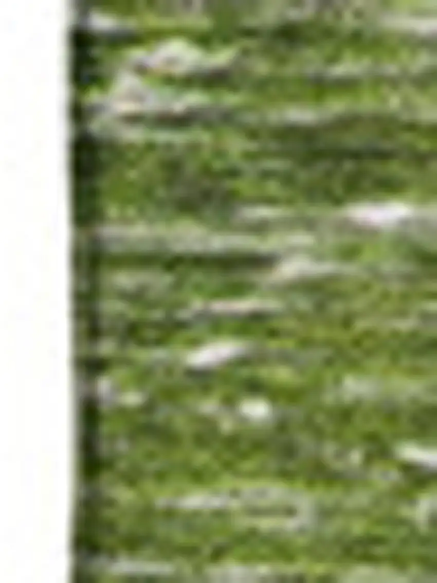 Olive Green And Ivory Patchwork Washable Area Rug With UV Protection Photo 2