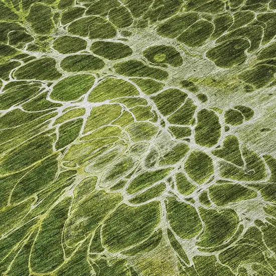 Olive Green And Sage Abstract Washable Indoor Outdoor Area Rug Photo 8