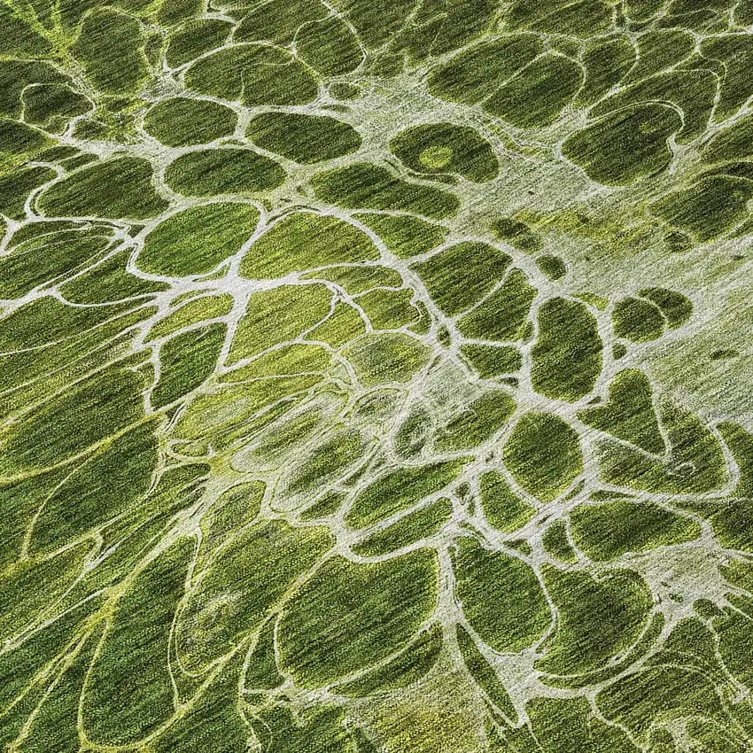 Olive Green And Sage Abstract Washable Indoor Outdoor Area Rug Photo 8