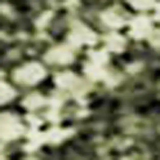 Olive Green Gold And Brown Striped Washable Area Rug With UV Protection Photo 3