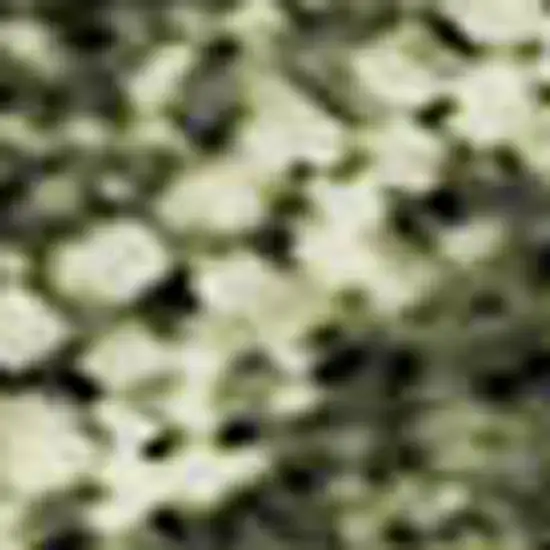 Olive Green Gold And Brown Striped Washable Area Rug With UV Protection Photo 3