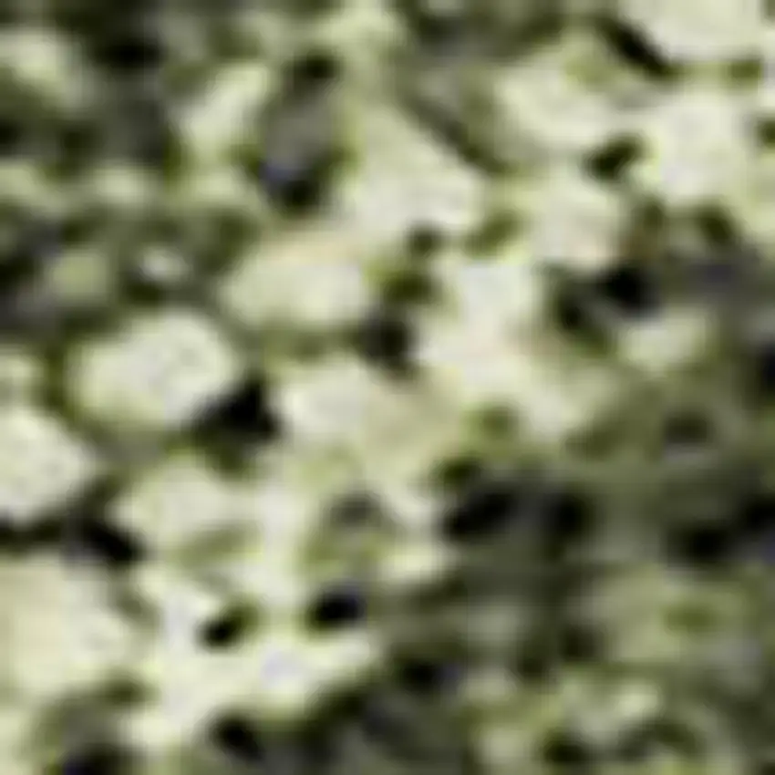 Olive Green Gold And Brown Striped Washable Area Rug With UV Protection Photo 3