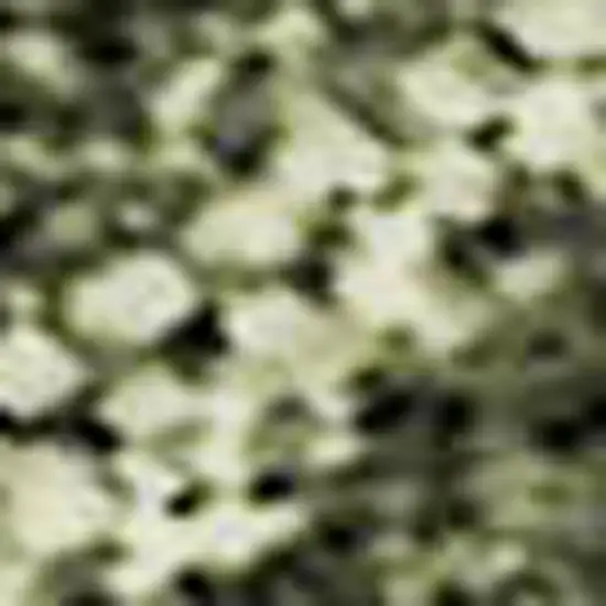 Olive Green Gold And Brown Striped Washable Area Rug With UV Protection Photo 3