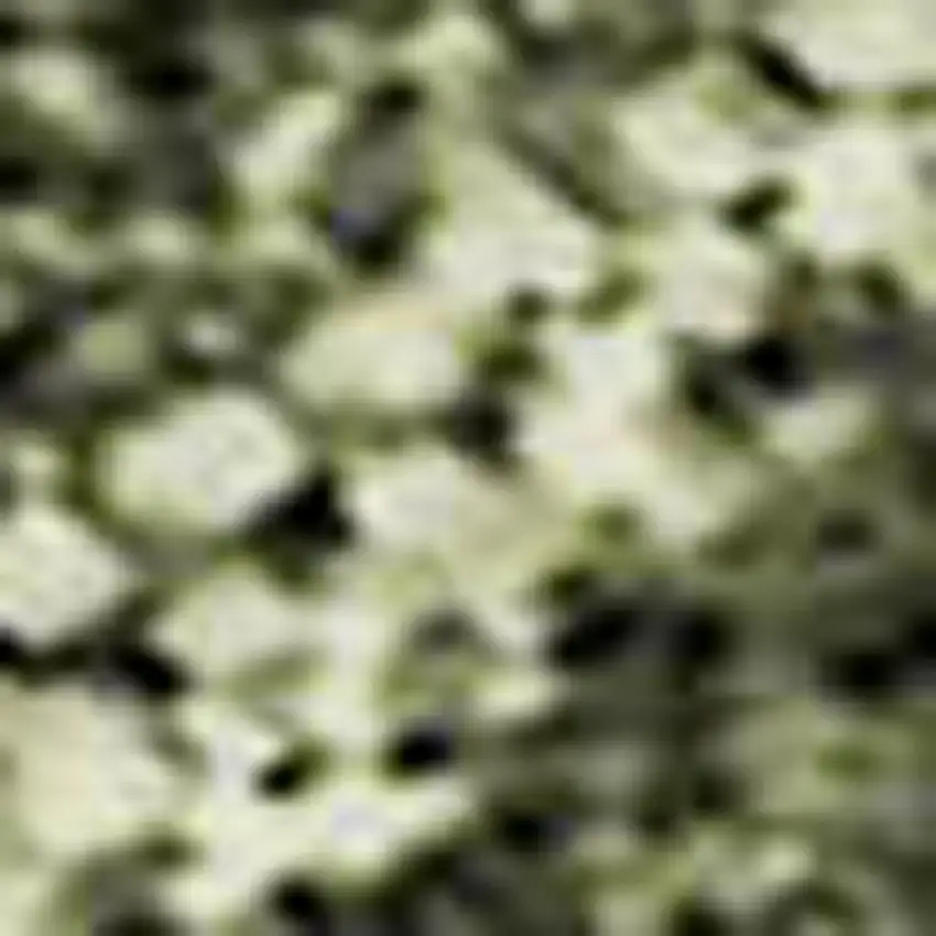 Olive Green Gold And Brown Striped Washable Area Rug With UV Protection Photo 3