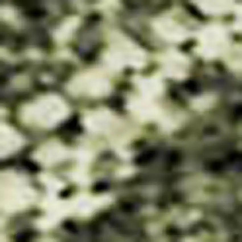 Olive Green Gold And Brown Striped Washable Area Rug With UV Protection Photo 3