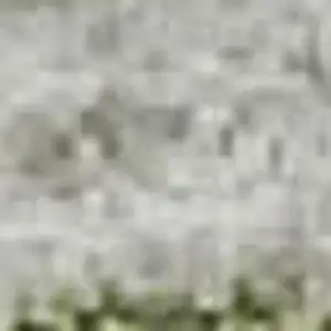 Photo of Olive Green Gray And Ivory Geometric Washable Area Rug With UV Protection