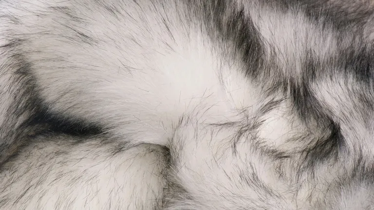 Ombre Grey Faux Fur Washable Non Skid Area Rug Photo 5