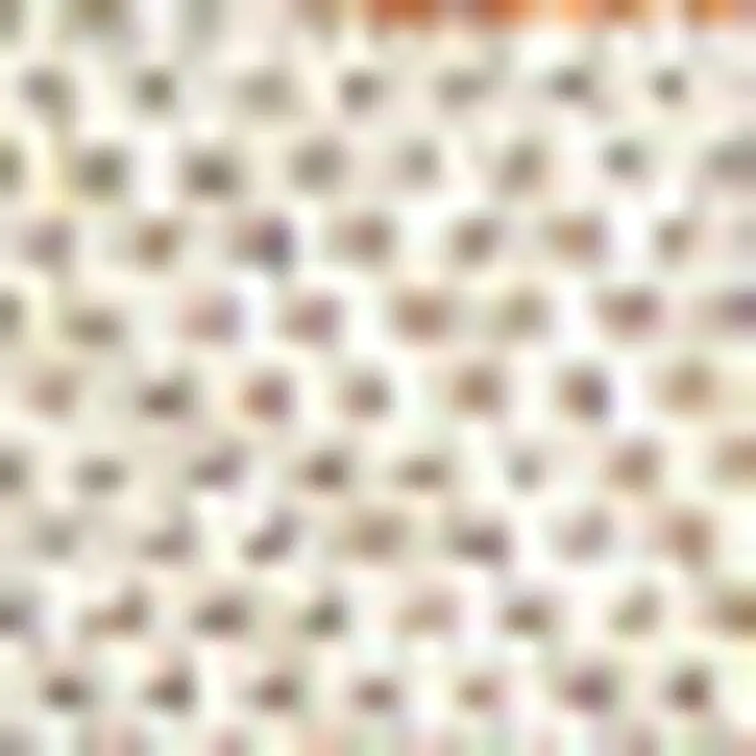 Orange And Cream Striped Indoor Outdoor Area Rug Photo 2