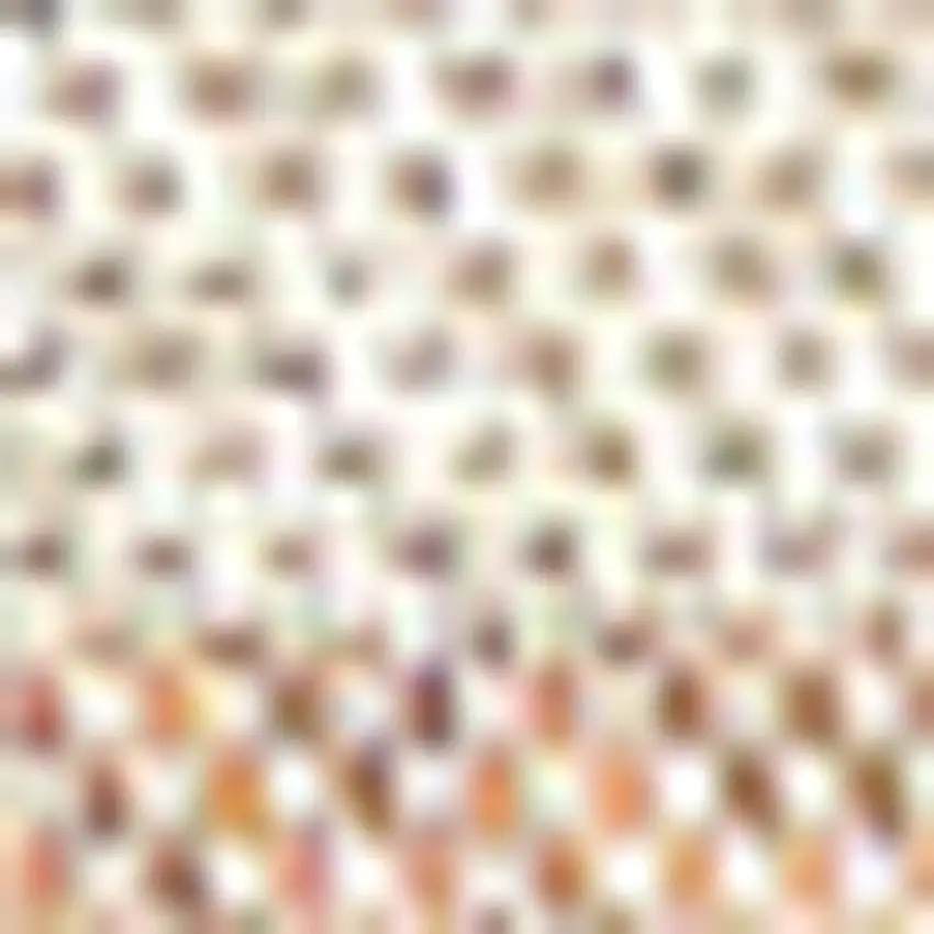 Orange And Cream Striped Indoor Outdoor Area Rug Photo 2