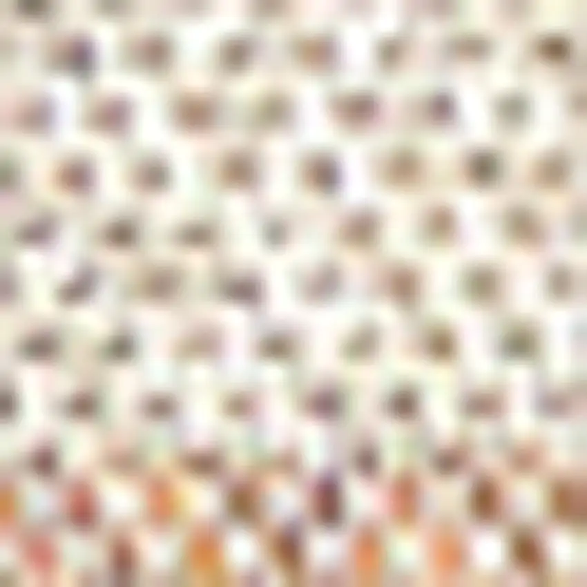 Orange And Cream Striped Indoor Outdoor Area Rug Photo 2