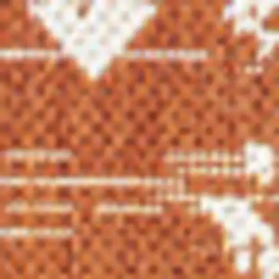 Orange And Cream Trellis Indoor Outdoor Area Rug Photo 2