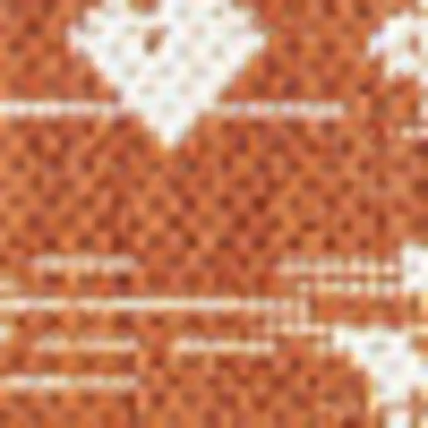 Orange And Cream Trellis Indoor Outdoor Area Rug Photo 2