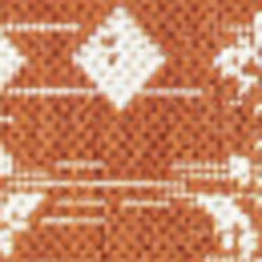 Orange And Cream Trellis Indoor Outdoor Area Rug Photo 3