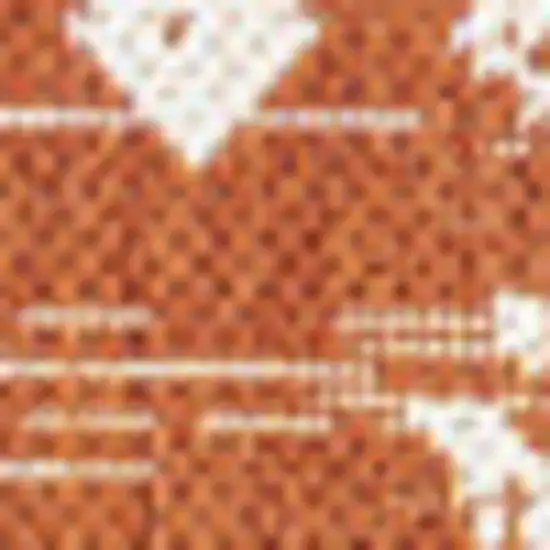Orange And Cream Trellis Indoor Outdoor Area Rug Photo 2