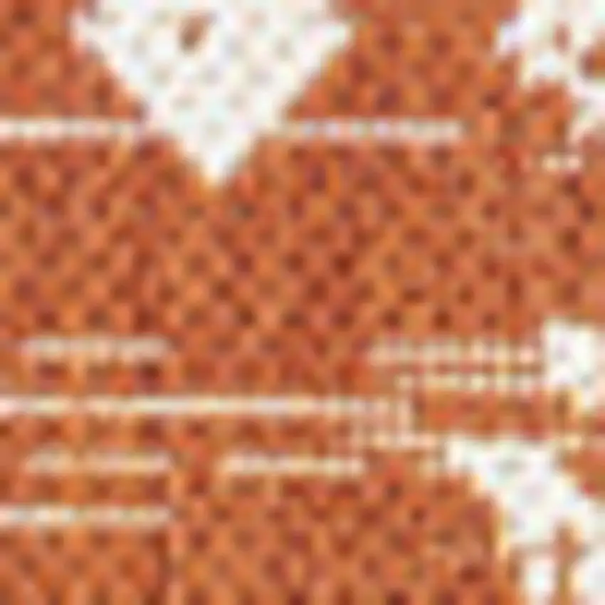 Orange And Cream Trellis Indoor Outdoor Area Rug Photo 2