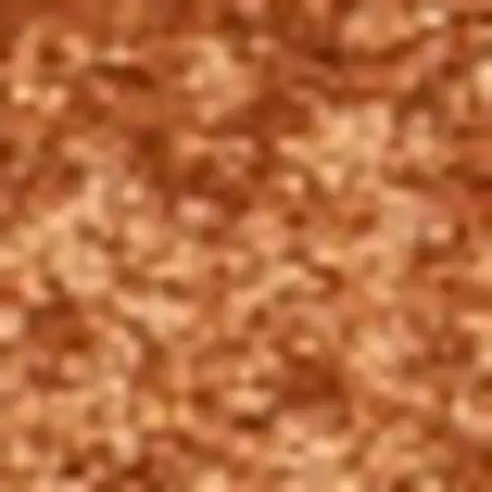 Orange Area Rug Photo 3