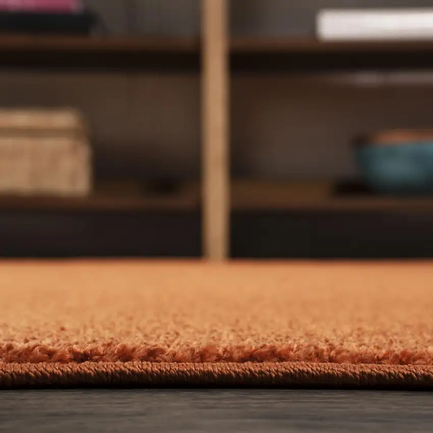 Orange Area Rug Photo 4