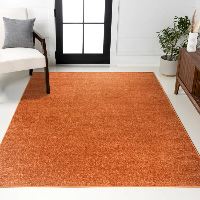 Orange Area Rug Photo 8