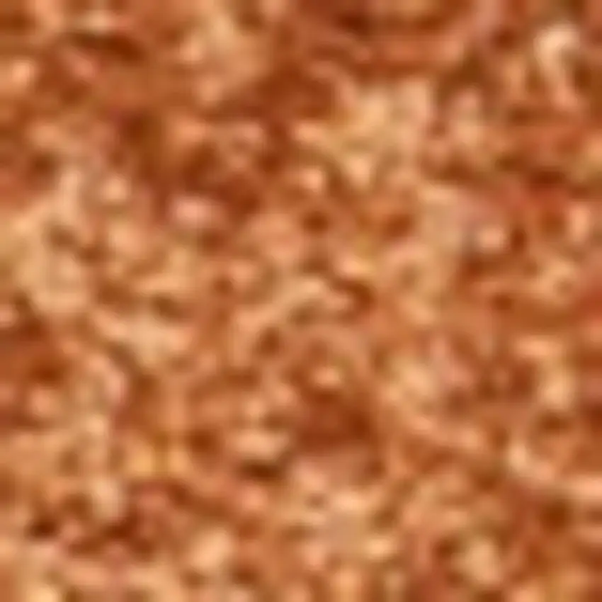 Orange Area Rug Photo 3