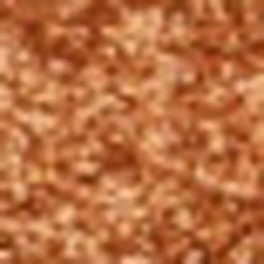 Orange Area Rug Photo 3
