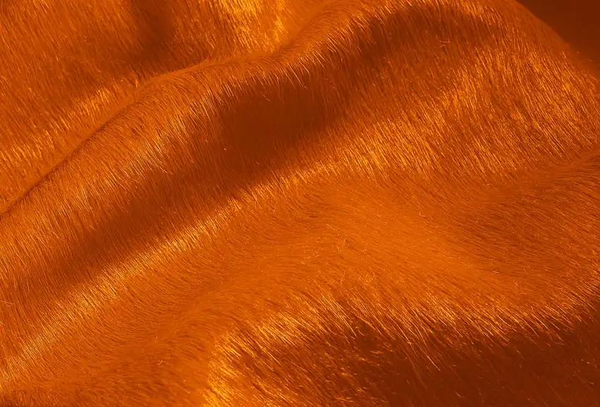 Orange Cowhide - Rug Photo 2