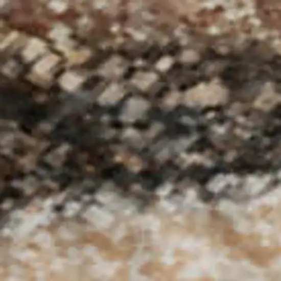 Orange Gray And Ivory Abstract Washable Area Rug With UV Protection Photo 8