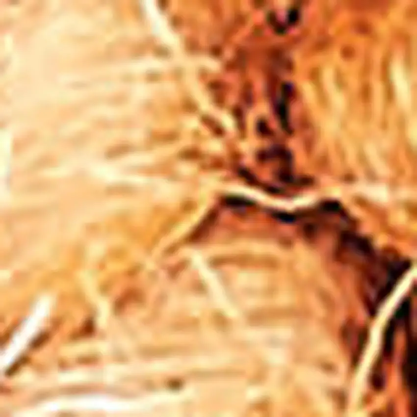 Orange Wool Shag Handmade Area Rug Photo 3