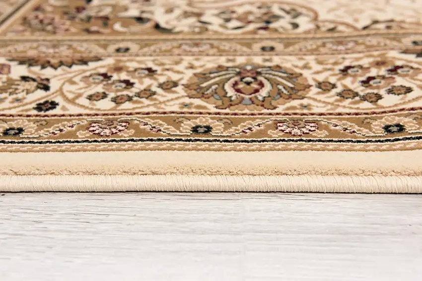 Oriental Medallion Stain Resistant Area Rug Photo 7
