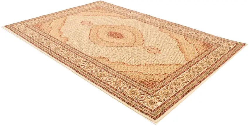 Oriental Power Loom Stain Resistant Area Rug Photo 7