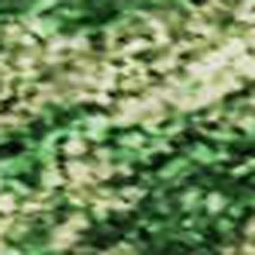 Peach Emerald And Beige Abstract Washable Area Rug With UV Protection Photo 2