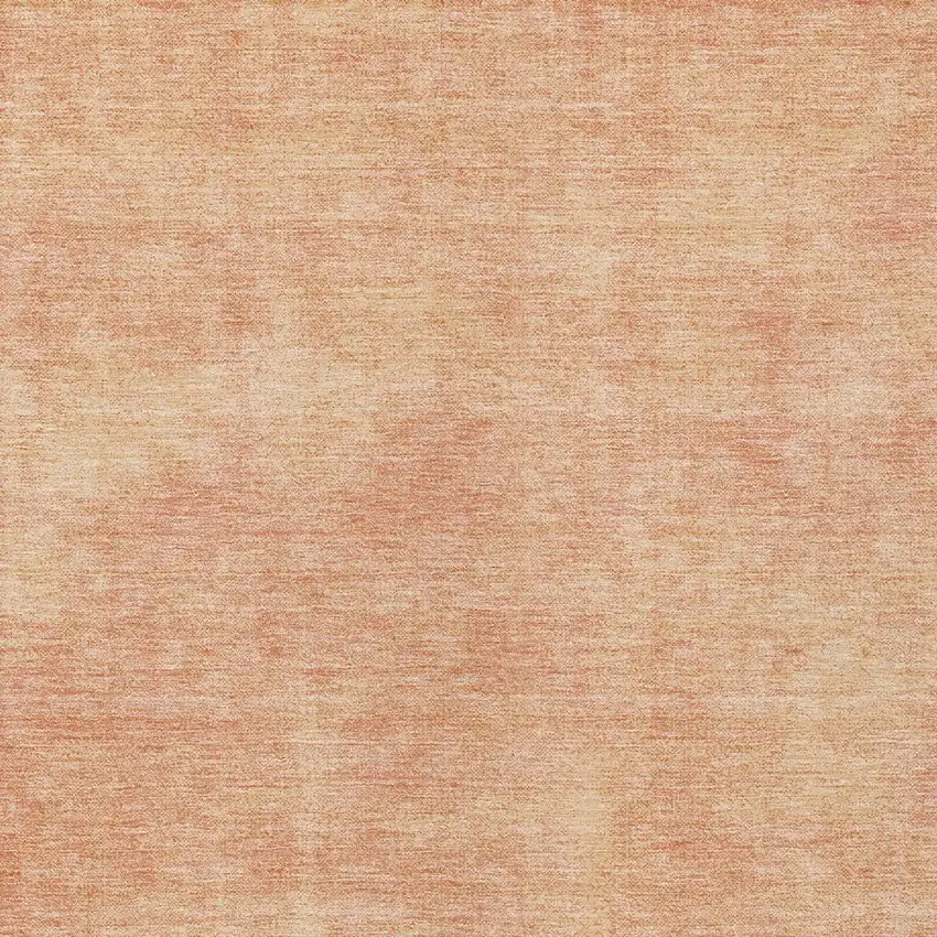 Peach Washable Indoor Outdoor Area Rug Photo 5
