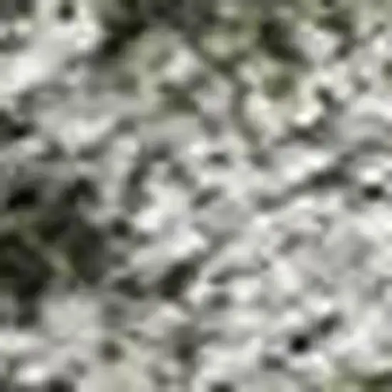 Pewter And Gray Damask Washable Indoor Outdoor Area Rug Photo 2