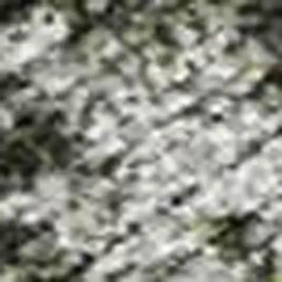 Pewter And Gray Damask Washable Indoor Outdoor Area Rug Photo 4