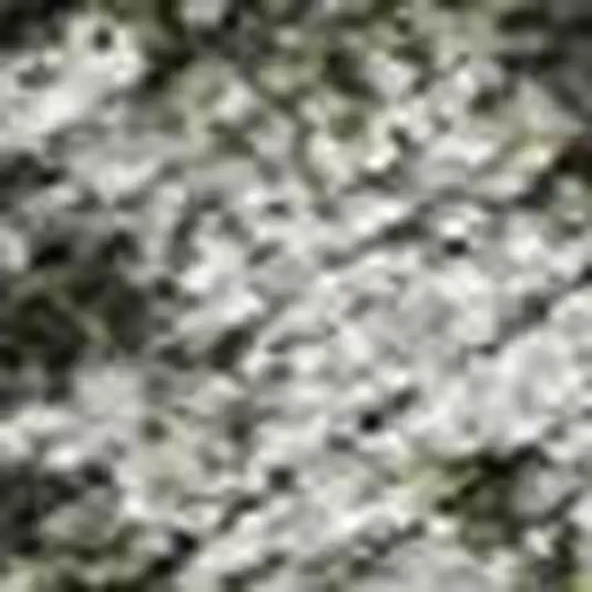 Pewter And Gray Damask Washable Indoor Outdoor Area Rug Photo 4