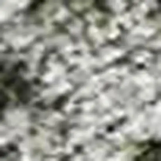 Pewter And Gray Damask Washable Indoor Outdoor Area Rug Photo 3