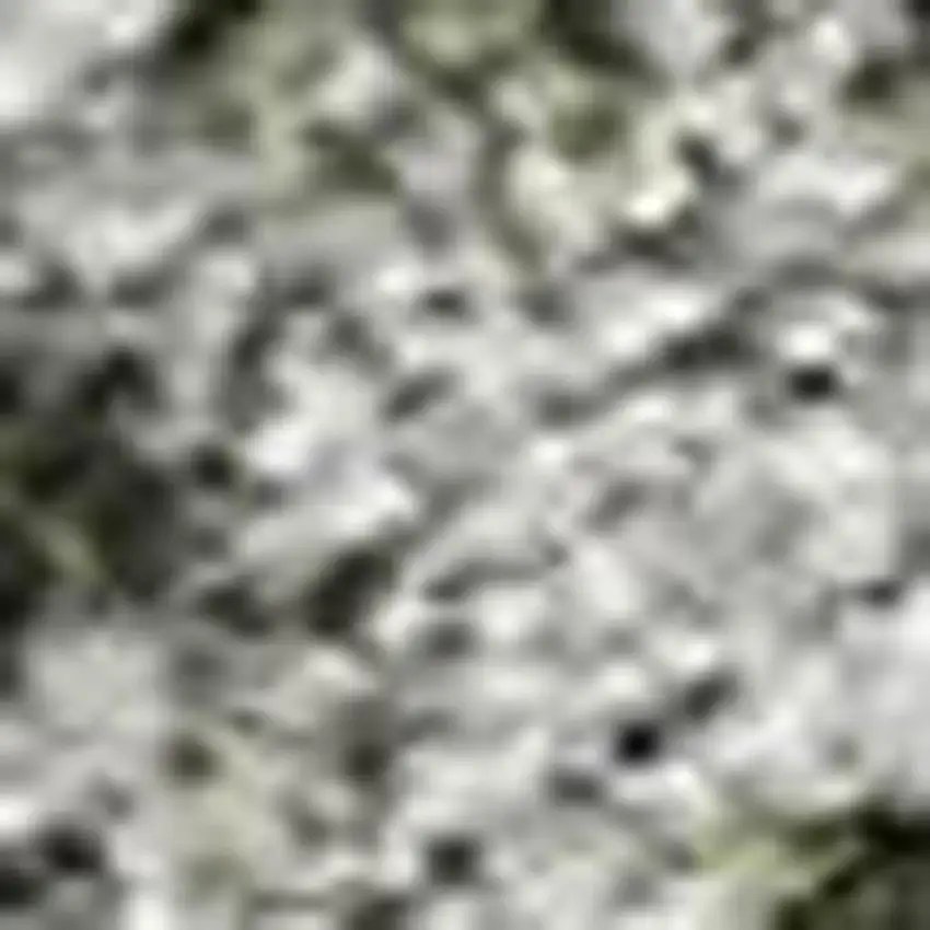 Pewter And Gray Damask Washable Indoor Outdoor Area Rug Photo 3