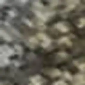 Photo of Pewter And Gray Oriental Washable Area Rug With UV Protection