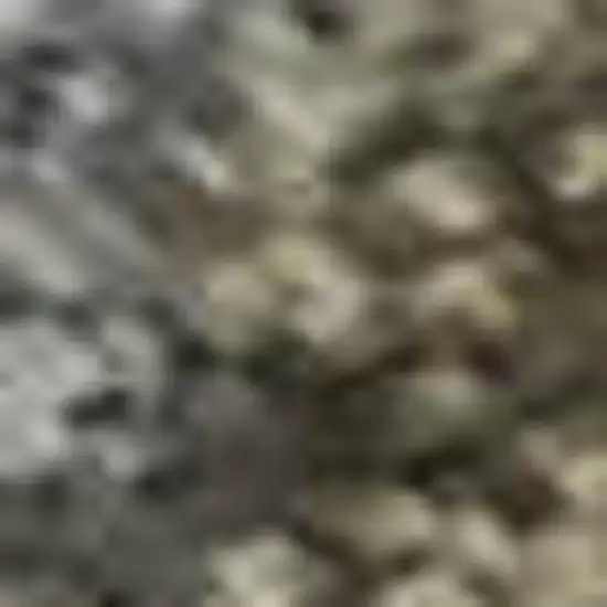 Pewter And Gray Oriental Washable Area Rug With UV Protection Photo 1