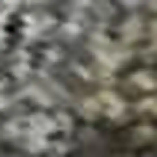 Pewter And Gray Oriental Washable Area Rug With UV Protection Photo 1