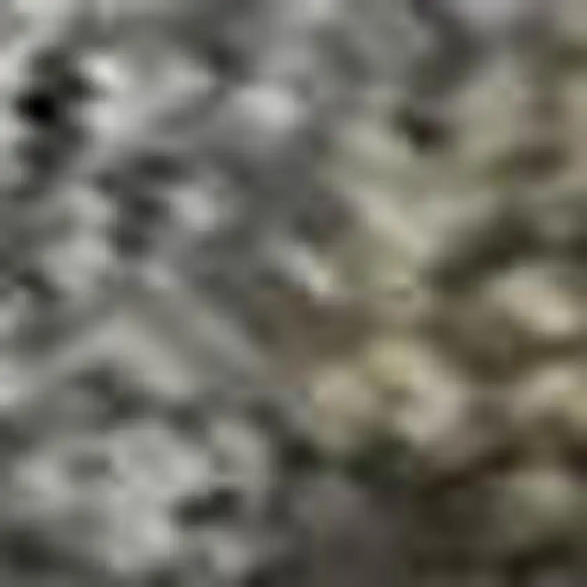 Pewter And Gray Oriental Washable Area Rug With UV Protection Photo 1