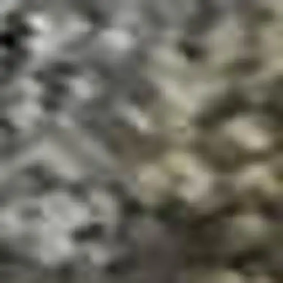 Pewter And Gray Oriental Washable Area Rug With UV Protection Photo 1