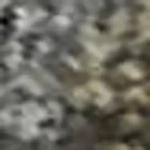 Photo of Pewter And Gray Oriental Washable Area Rug With UV Protection