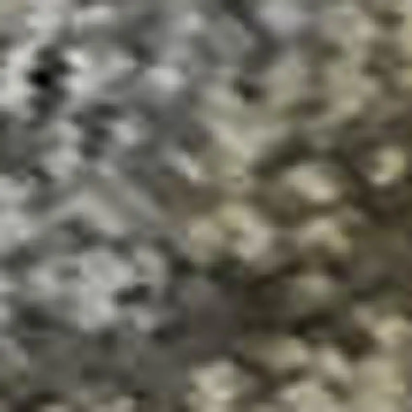 Pewter And Gray Oriental Washable Area Rug With UV Protection Photo 3