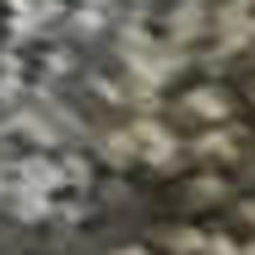 Pewter And Gray Oriental Washable Area Rug With UV Protection Photo 1