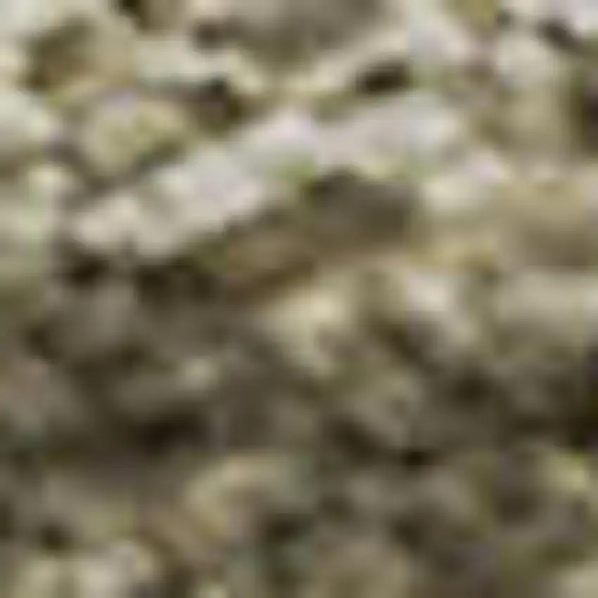 Pewter And Silver Abstract Washable Area Rug With UV Protection Photo 3