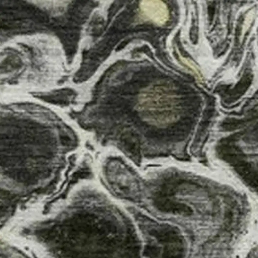 Pewter And Silver Abstract Washable Indoor Outdoor Area Rug Photo 3