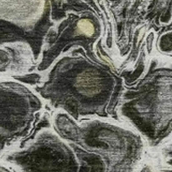 Pewter And Silver Abstract Washable Indoor Outdoor Area Rug Photo 3