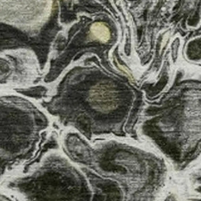 Pewter And Silver Abstract Washable Indoor Outdoor Area Rug Photo 3