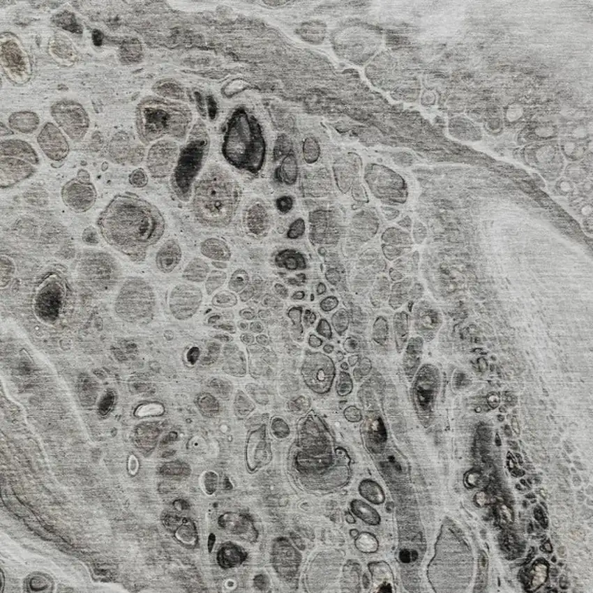 Pewter Gray And Silver Abstract Washable Indoor Outdoor Area Rug Photo 4